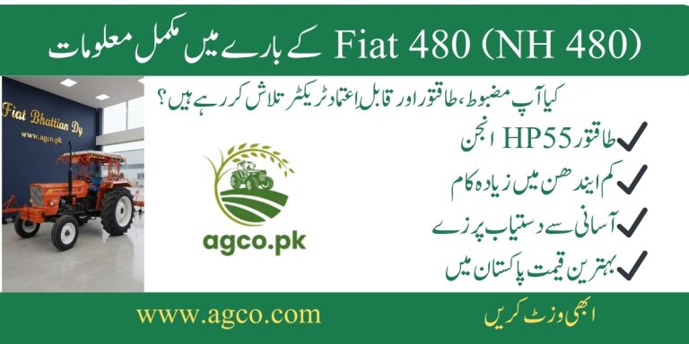 Fiat 480 price in Pakistan 2025