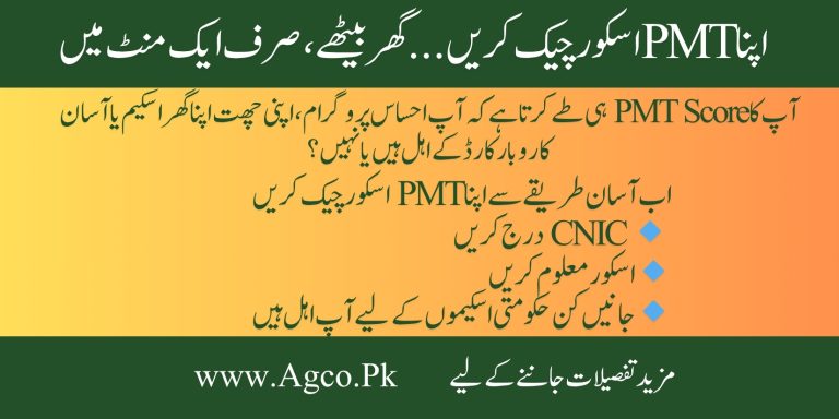 How to check PMT score online
