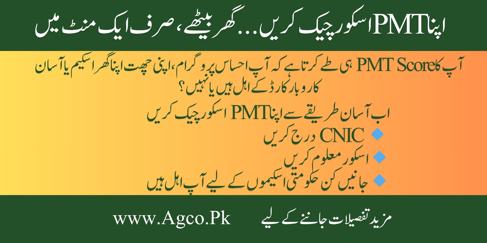 How to check PMT score online