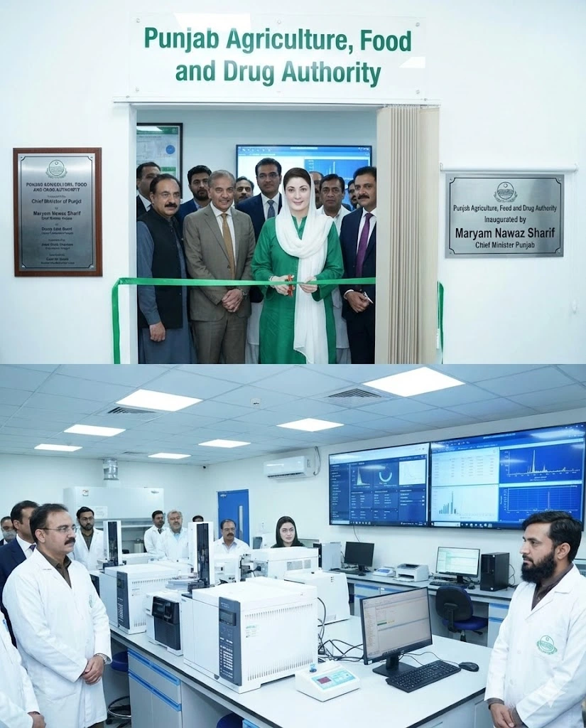 Punjab Food Agriculture and Drug Regularity Authority 